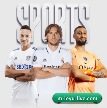 从比分速递到赛后复盘的完整链路（leyu）
