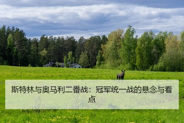 斯特林与奥马利二番战：冠军统一战的悬念与看点