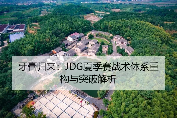 牙膏归来：JDG夏季赛战术体系重构与突破解析